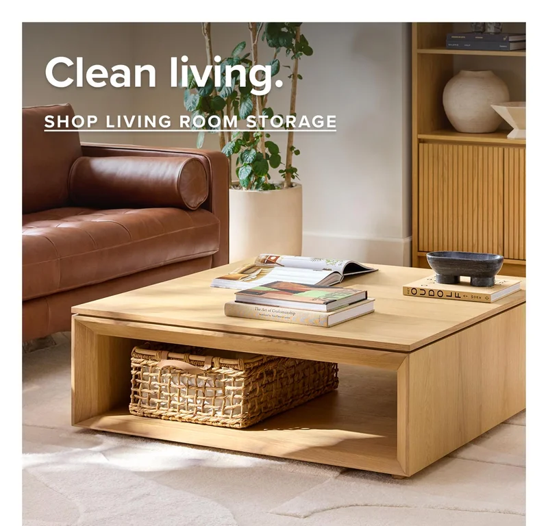 Shop living room storage.