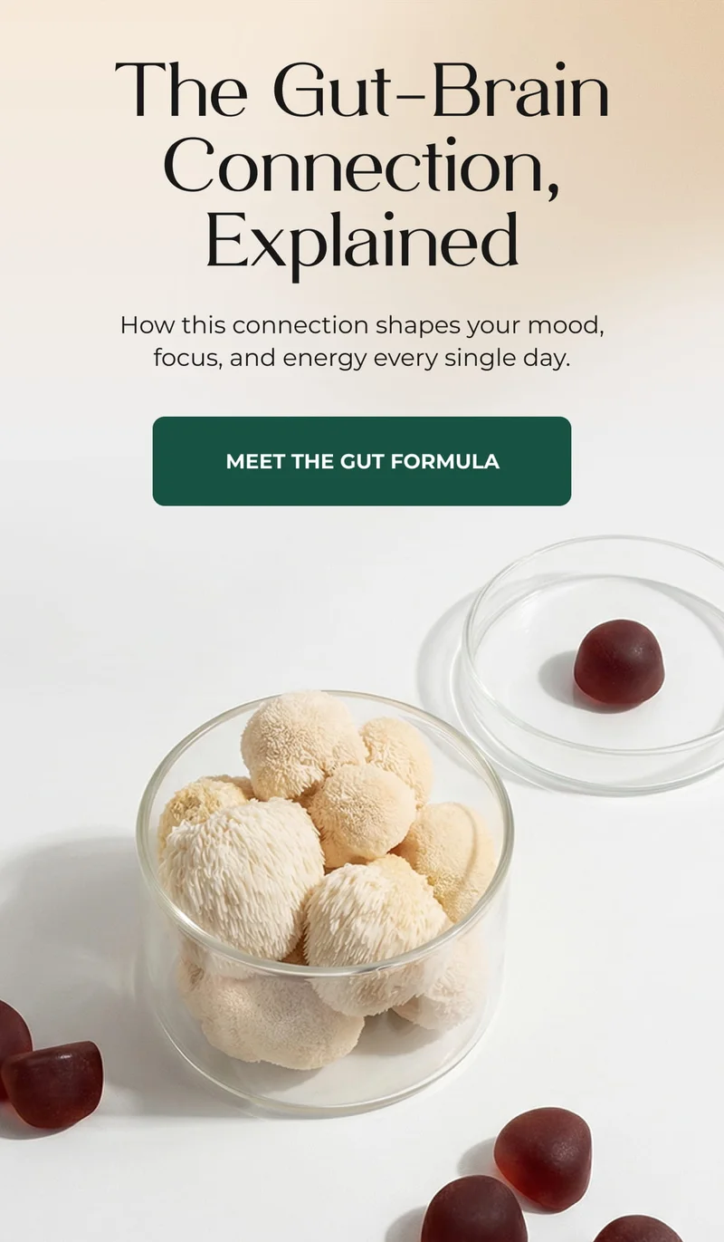 MEET THE GUT FORMULA