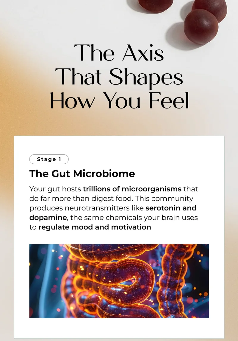 The Axis That Shapes How You Feel