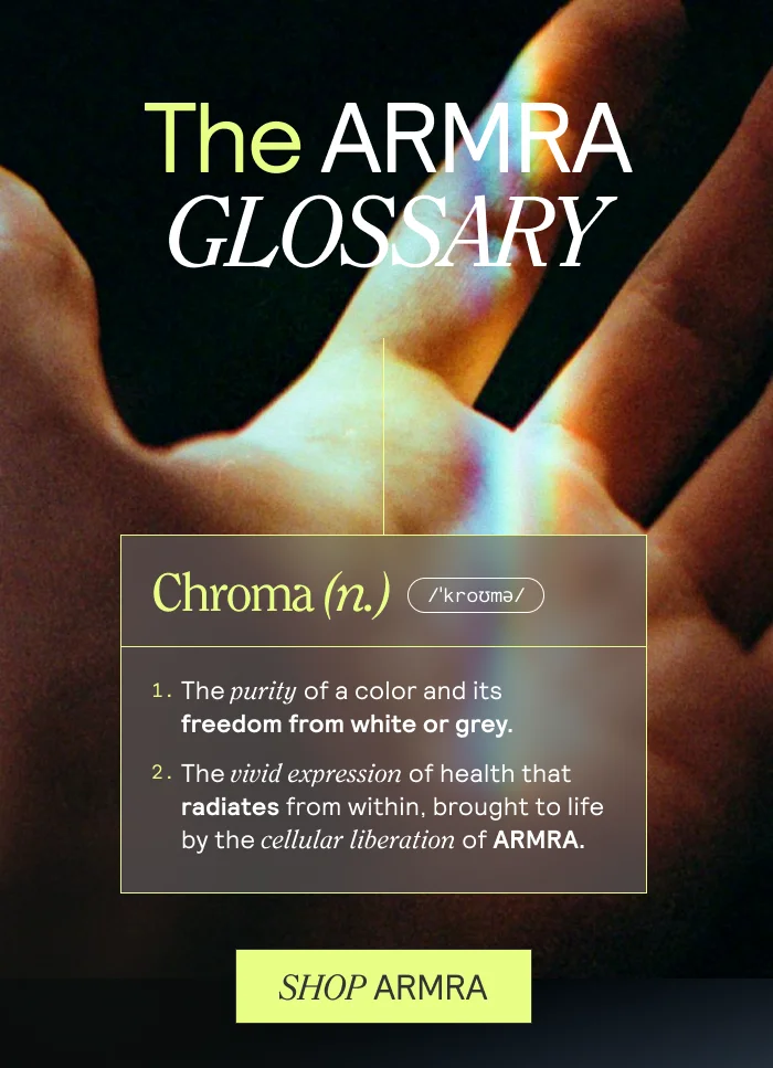 THE ARMRA GLOSSARY