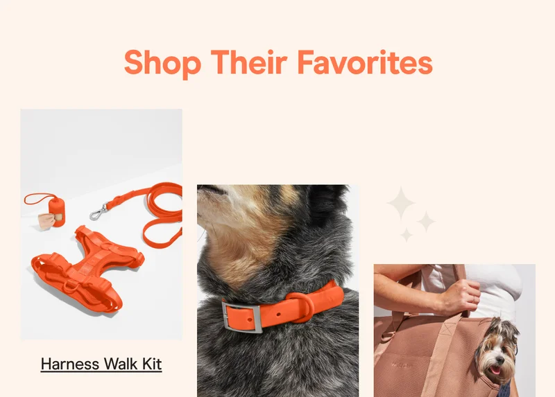 Shop Harness Walk Kit