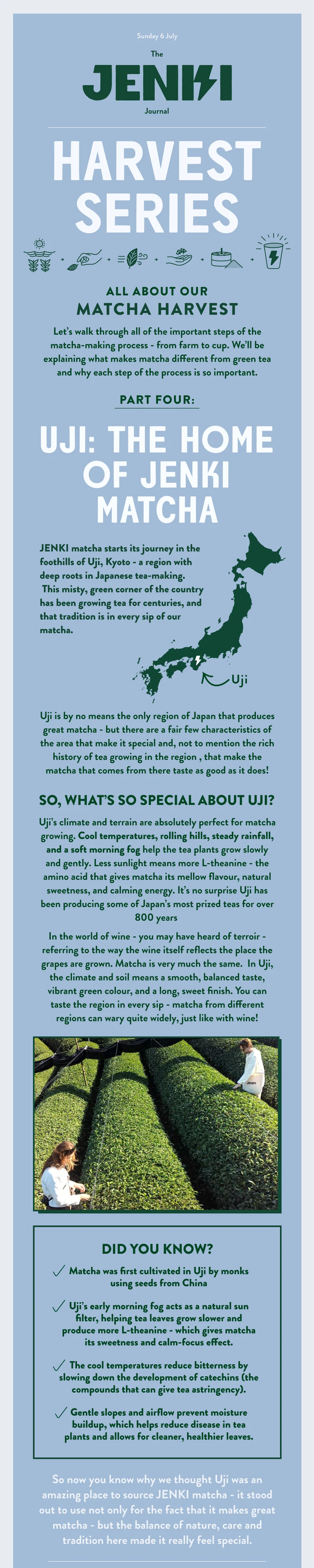 Uji: The Home of JENKI Matcha
