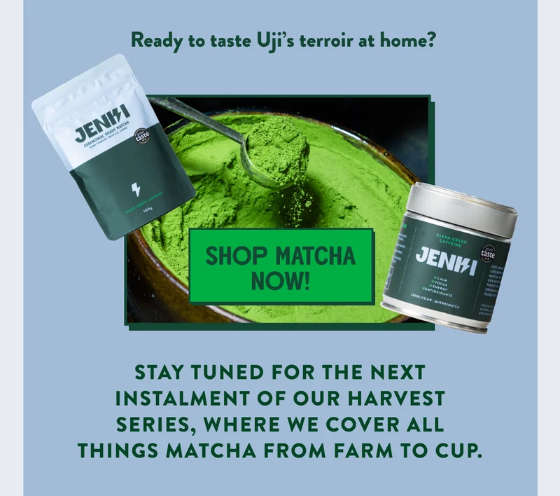 Shop matcha now