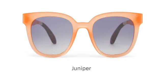 Juniper Traveler Sunglasses - Image