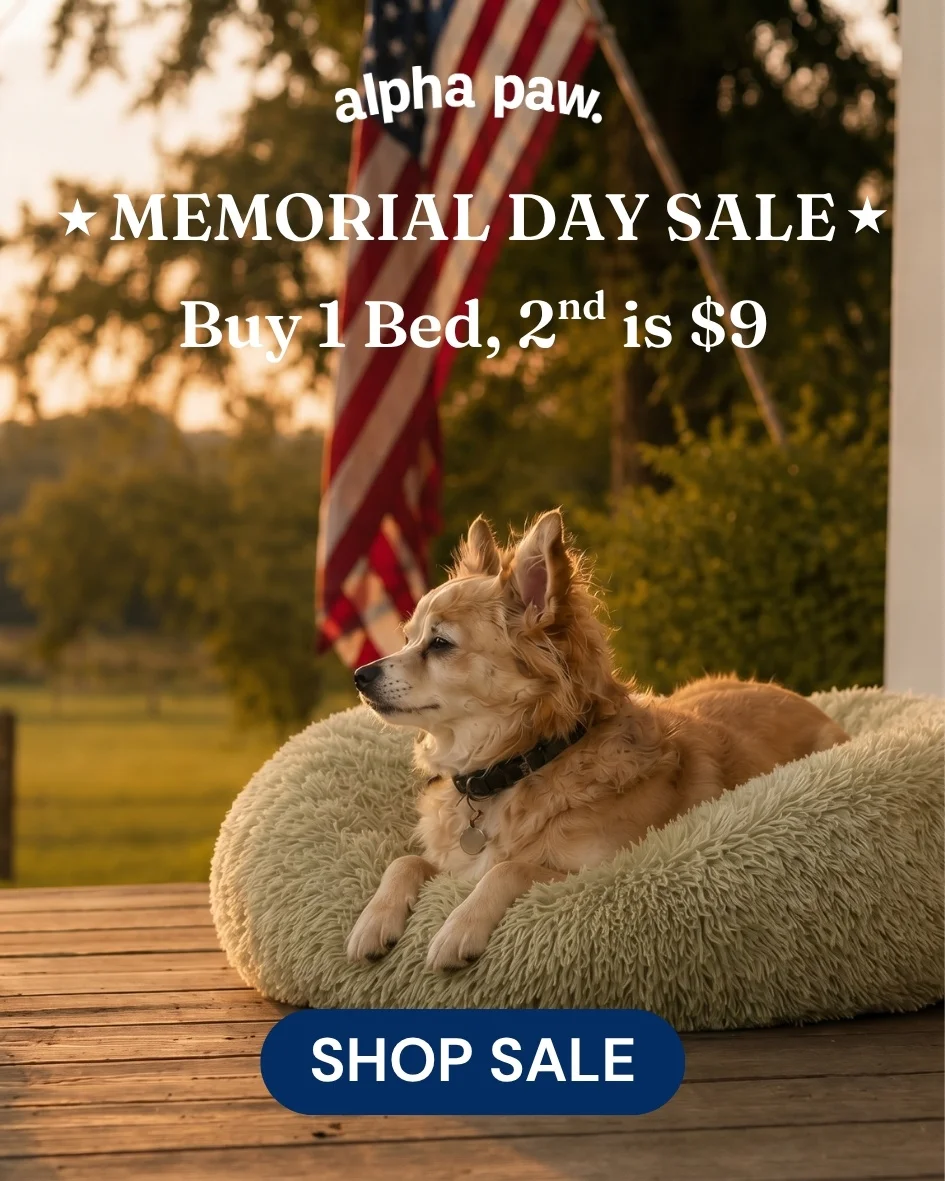 Cozy bed