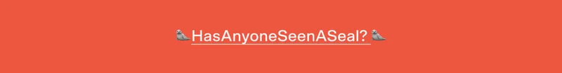 🦭HasAnyoneSeenASeal? 🦭