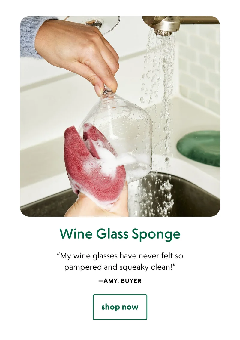 Wine Glass Sponge