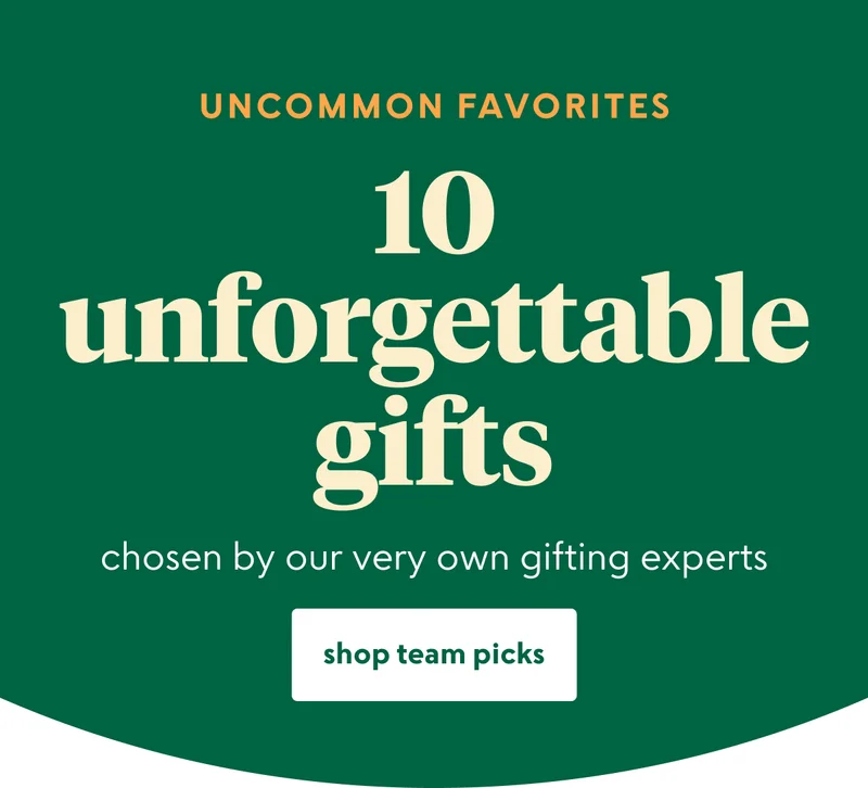 shop team picks