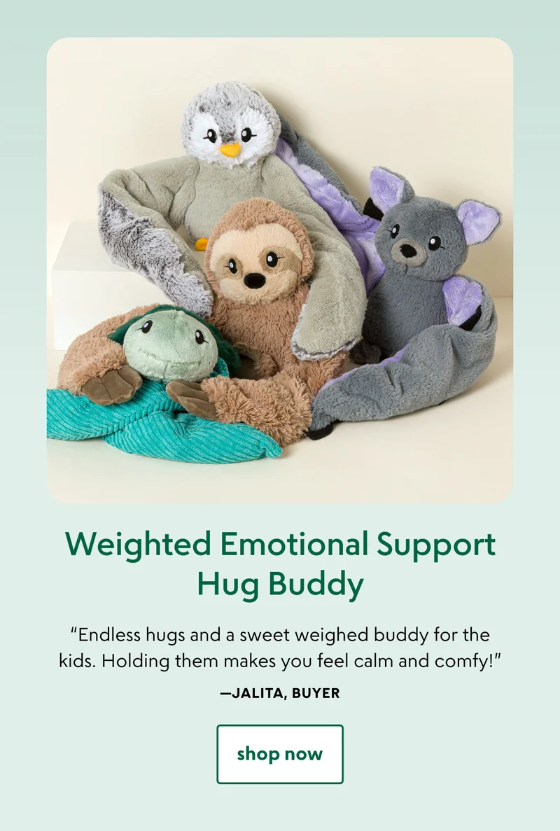 Weighted Emotional Support Hug Buddy