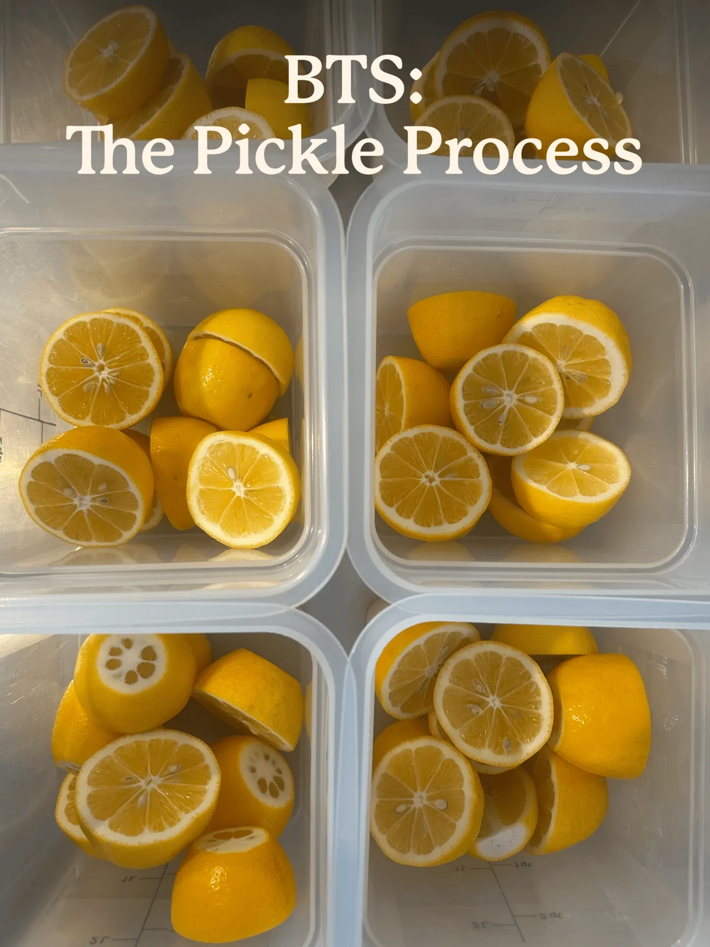 BTS: The Pickle Process