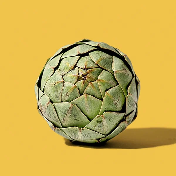 Jumbo Artichokes