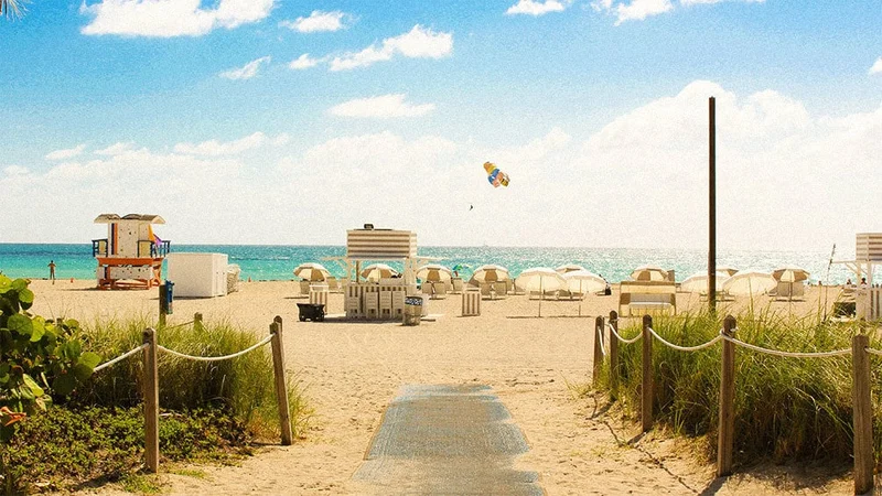 Image description: People paragliding in front of beach in Miami, Florida