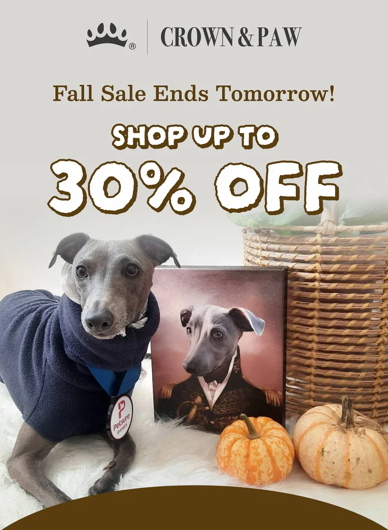 Fall Sale Ends Tomorrow | Shop up to 30% off