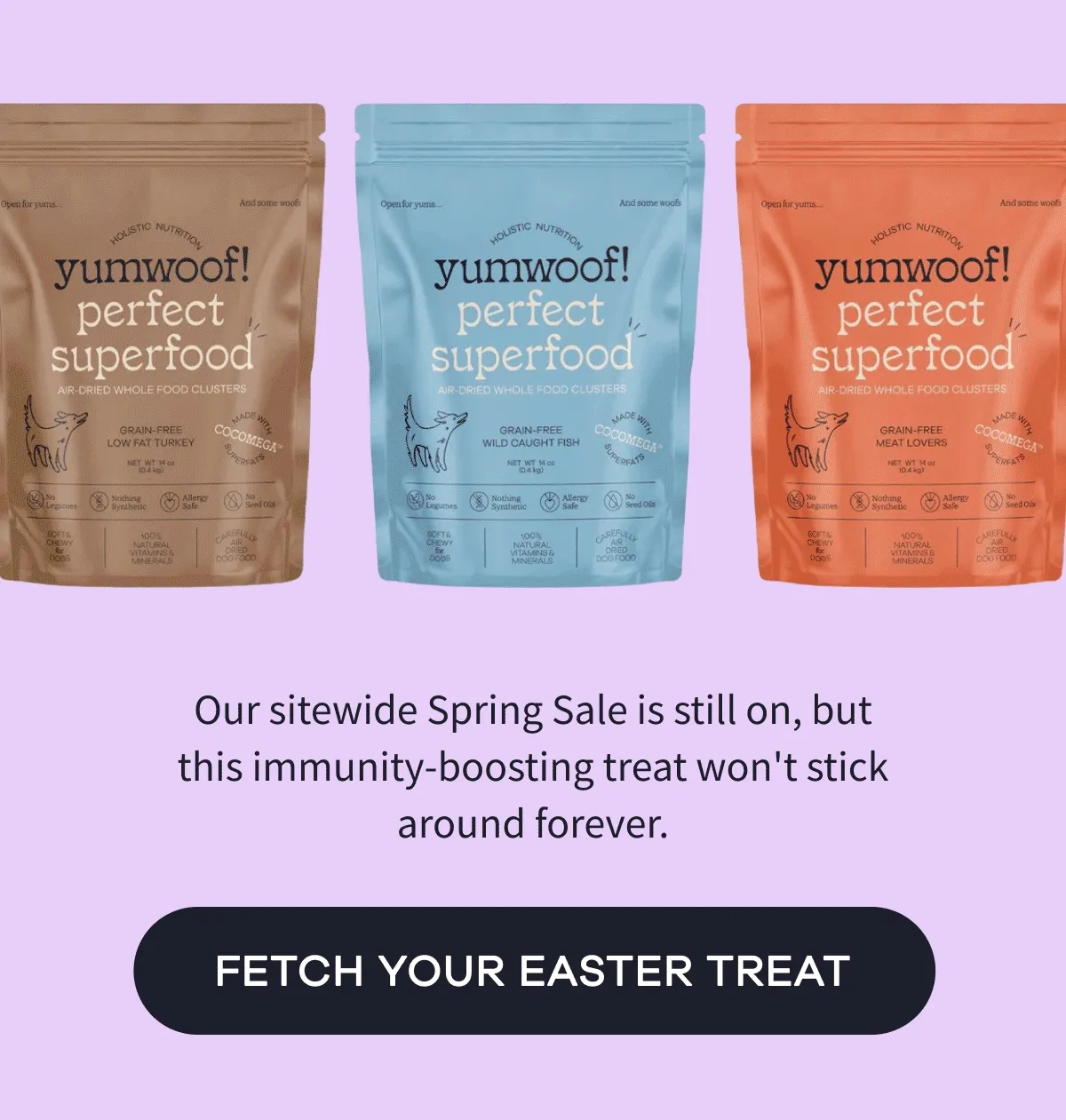 Our sitewide Spring Sale is still on, but this immunity-boosting treat won't stick around forever. | FETCH YOUR EASTER TREAT