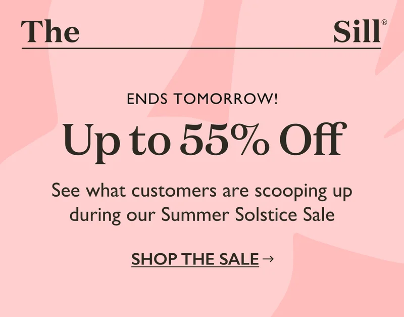 Up to 55% OFF our Summer Solstice Sale