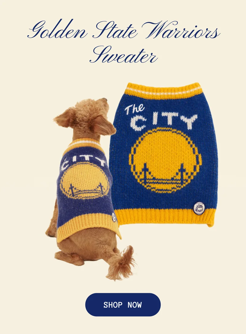 Golden State Warriors Sweater