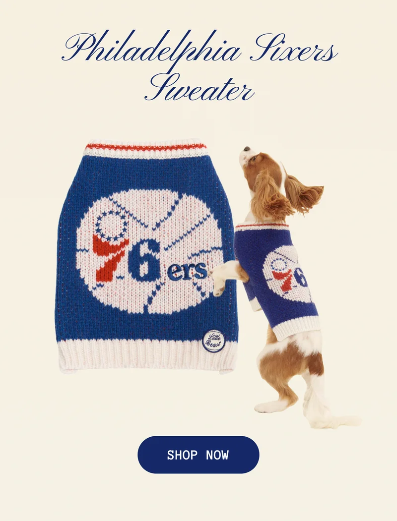 Philadelphia Sixers Sweater