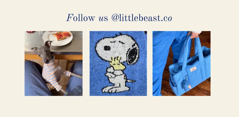 Follow us on Instagram