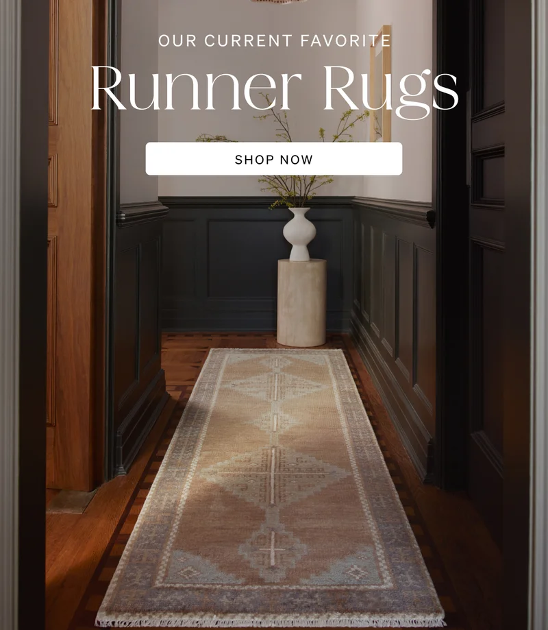 Shop Runner Rugs