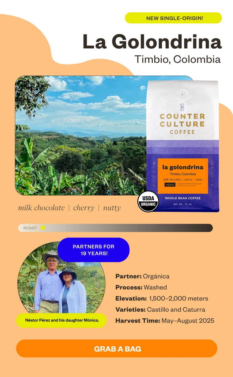 New Single-origin! La Golondrina Timbio, Colombia milk chocolate nutty cherry Partnes for 15 yearsProcess: Washed Elevation: 1,500–2,000 meters Varieties: Castillo and Caturra Harvest Time: May–August 2025 Grab a BagLa Golondrina is a testament to the power of partnership. The Orgánica cooperative, unwavering in its commitment to sustainability, has produced our La Golondrina offering since 2007. This coffee has captured the hearts of our customers and has become our most popular single-origin offering. La Golondrina showcases quintessential Colombian coffee flavors, featuring a harmonious balance of zesty cherry, rich milk chocolate, and delightful nutty notes. Shop Now Price paid per pound We paid $5.00 vs Fair trade certified minimum: $3.95 Average C Market Price: $3.35 Why it matters: We believe paying more for green coffee is more important investment in the long-term viability of our coffee-growing parnters' businesses and our supply.