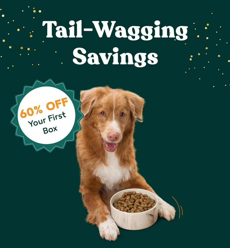 Tail-Wagging Savings 60% Off Your First Box