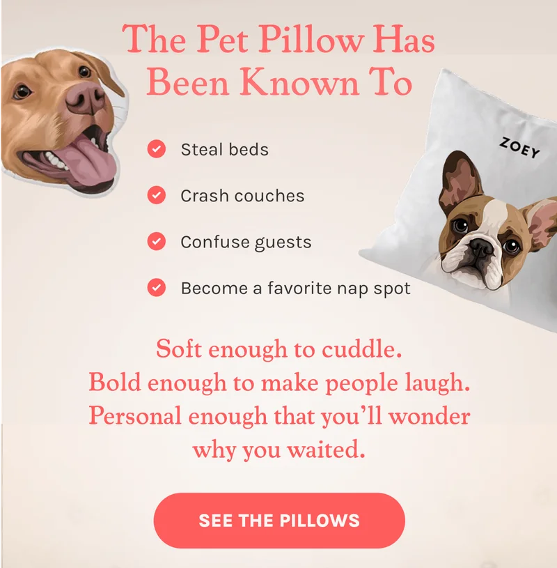See The Pillows