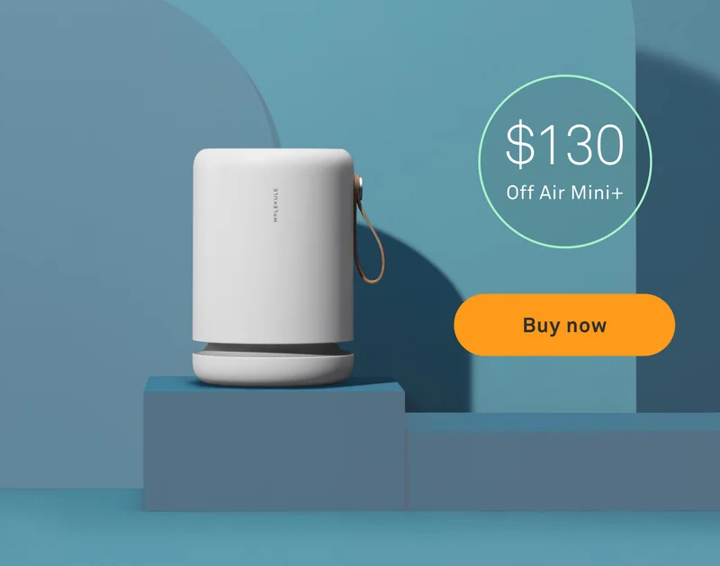 Air Mini+