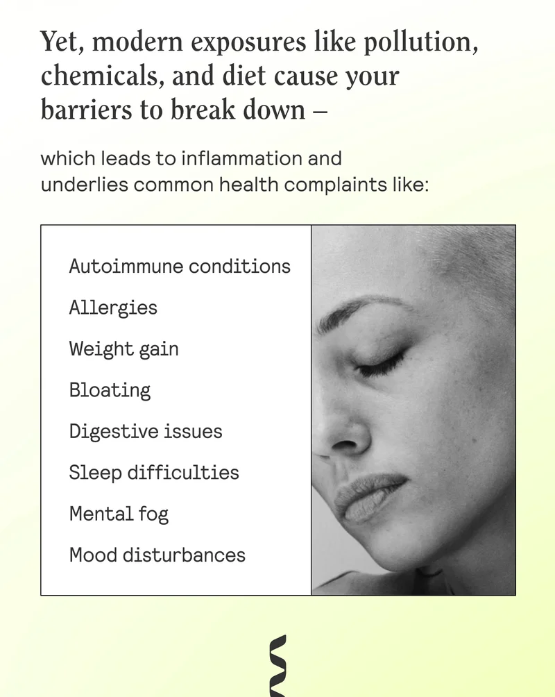Yet, modern exposures like pollution, chemicals, and diet cause your barriers to break down - which can underlies common health complaints like:  autoimmune conditions allergies weight gain bloating digestive issues sleep difficulties mental fog mood disturbances