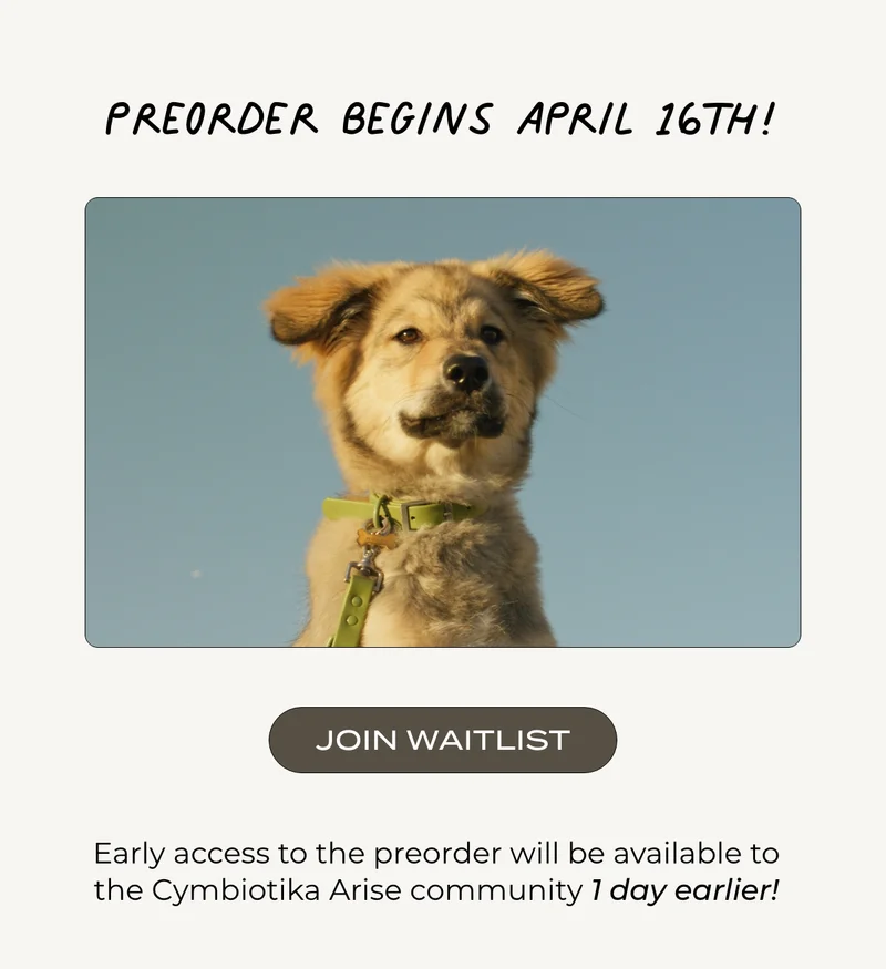 Preorder begins April 16th.