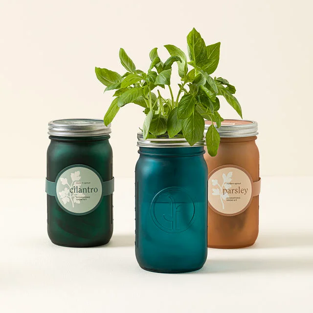 Mason Jar Indoor Herb Garden