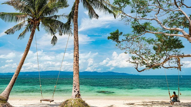 Image description: A person on a tree swing on the beach in Koh Phangan, Thailand.