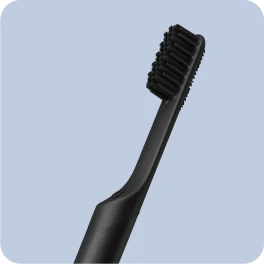Rechargeable Sonic Toothbrush