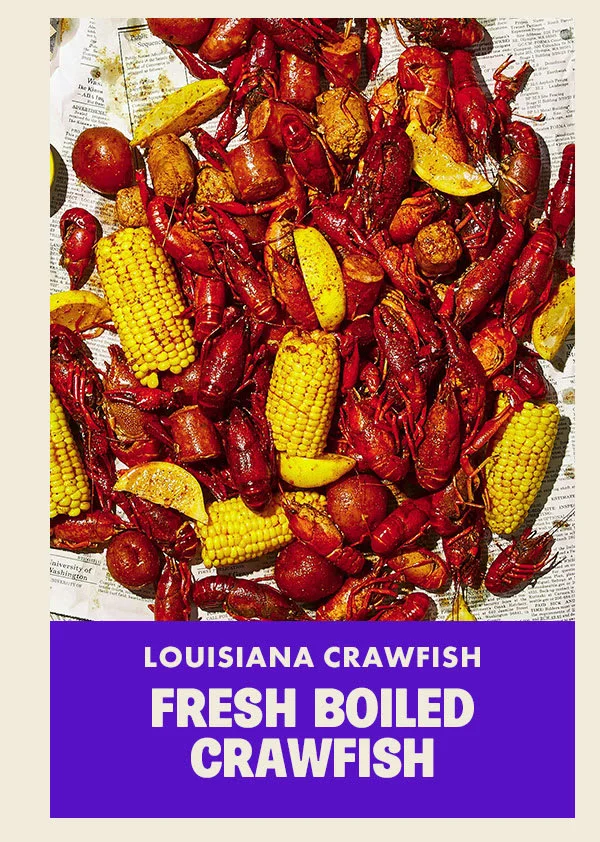 Louisiana Crawfish Louisiana Crawfish
