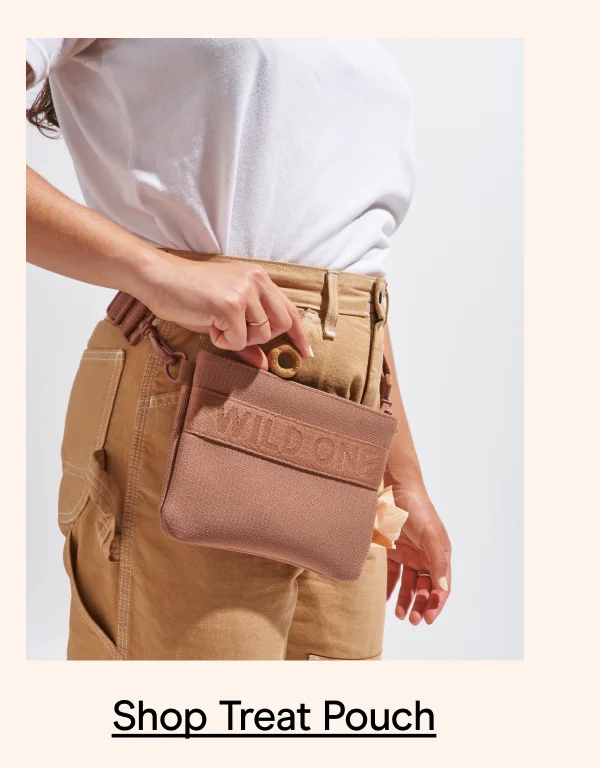 Shop Treat Pouch