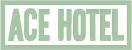 Ace Footer Logo