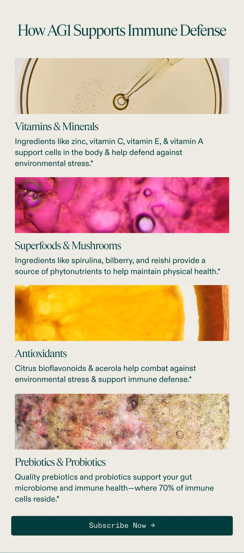 Support Your Immune Defense