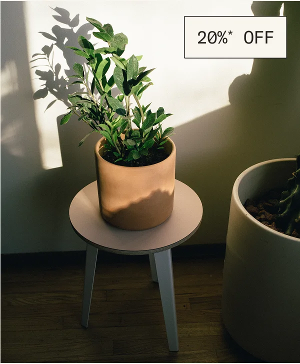 Save 20%* on The Side Table