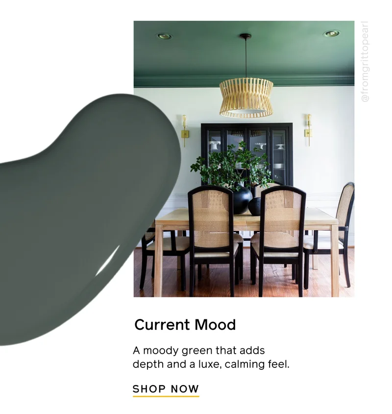 Current Mood. A moody green that adds depth and a luxe, calming feel. SHOP NOW