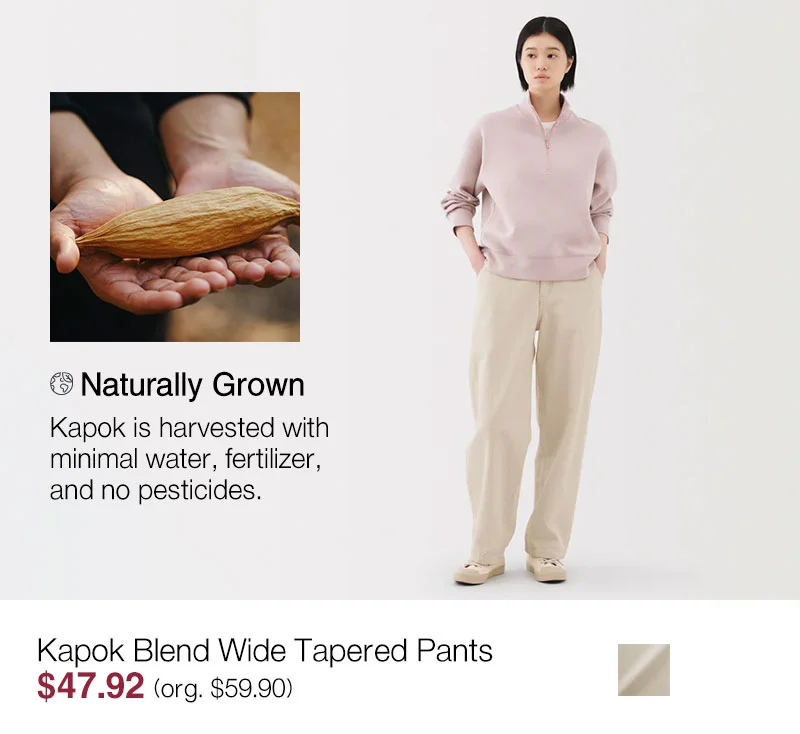 Shop Kapok Blend Wide Tapered Pants