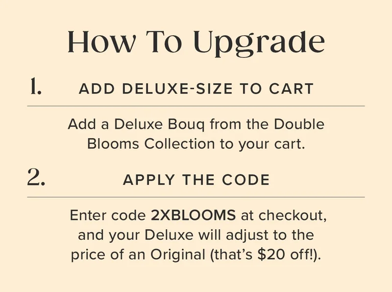 How To Upgrade: 1. ADD DELUXE-SIZE TO CART 2. APPLY THE CODE 2XBLOOMS (Your Deluxe size Bouq will adjust to the price of an Original --that's $20 off!)