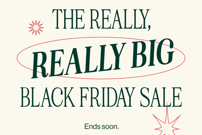 THE REALLY, REALLY BIG BLACK FRIDAY SALE. Ends Soon- Shop Now