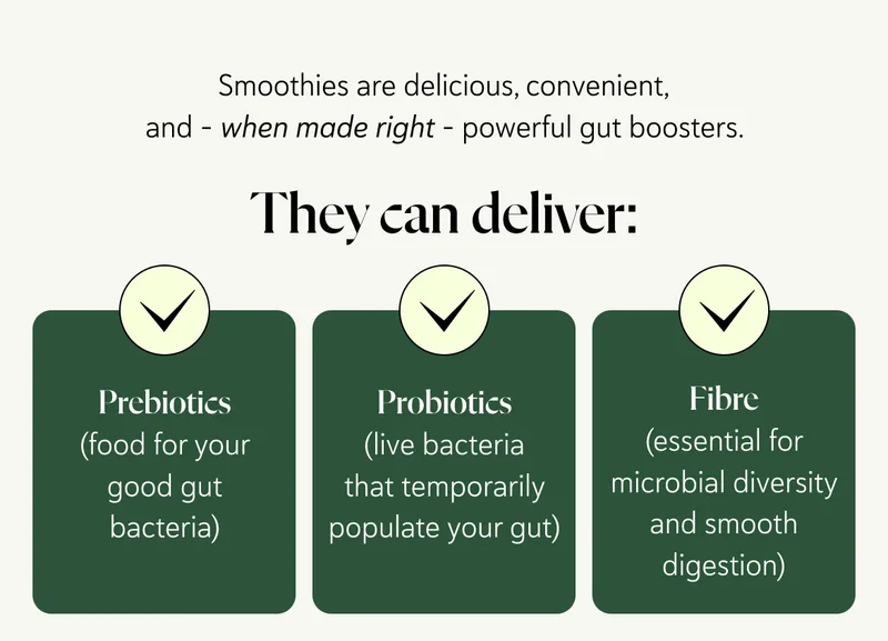 Smoothies are delicious, convenient, and – when made right – powerful gut boosters. They can deliver prebiotics (food for your good gut bacteria), probiotics (live bacteria that temporarily populate your gut), and fibre (essential for microbial diversity and smooth digestion) all in one glass.