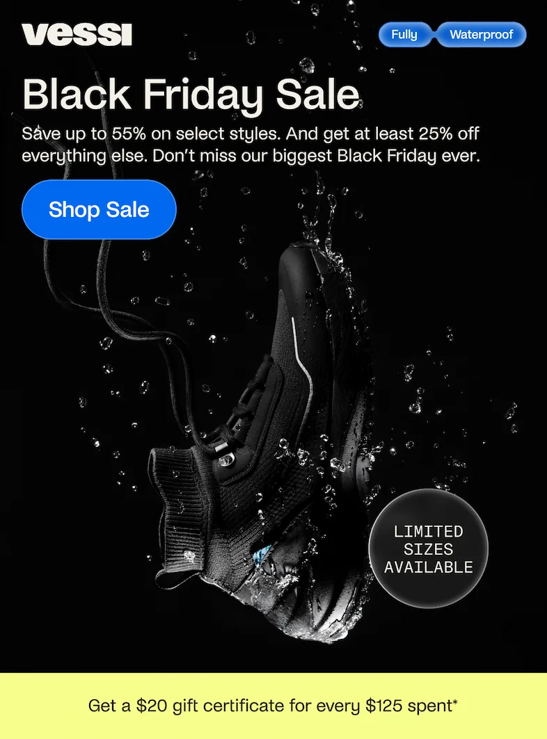 Black Friday Sale