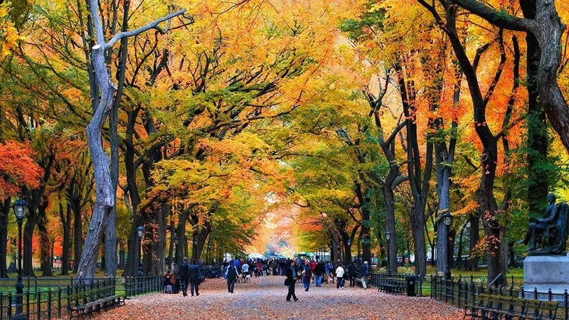Image description: People walking through Central Park in the fall