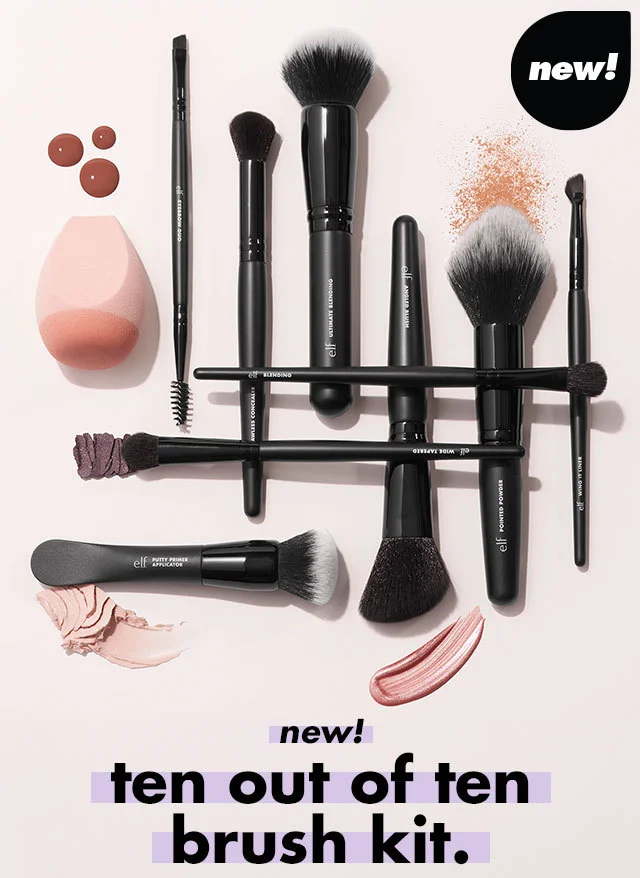 ten out of ten brush kit