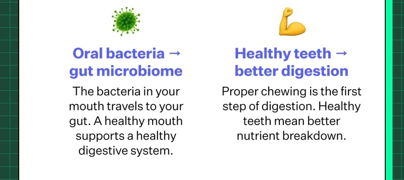 Oral bacteria → gut microbiome. The bacteria in your mouth travels to your gut. A healthy mouth supports a healthy digestive system. Healthy teeth → better digestion. Proper chewing is the first step of digestion. Healthy teeth mean better nutrient breakdown.
