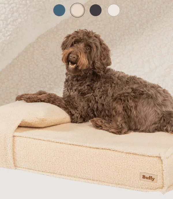 Orthopedic Pet Bed