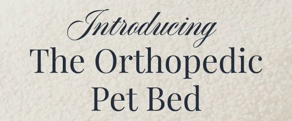 Introducing The Orthopedic Pet Bed
