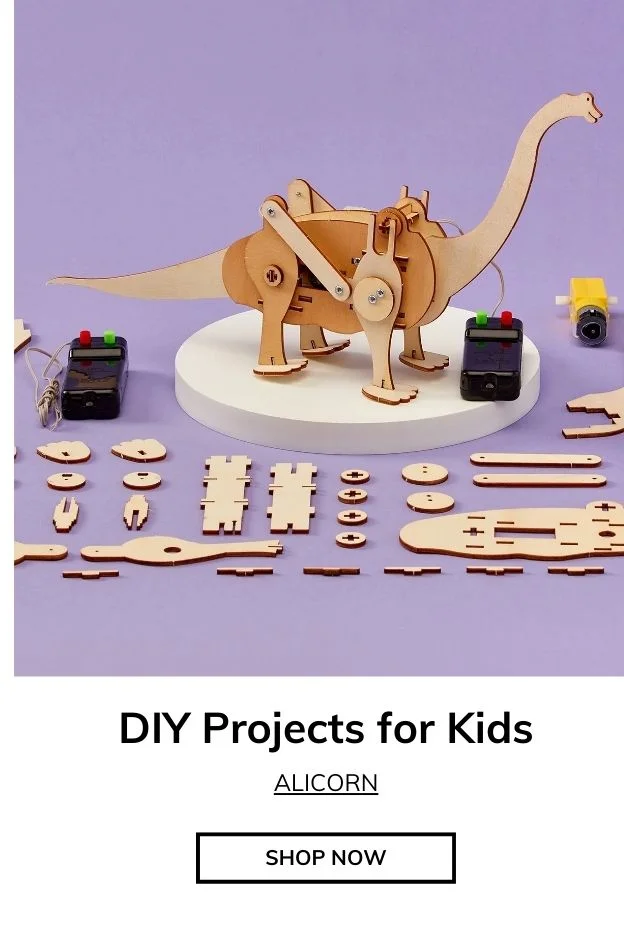 Alicorn Box - DIY & Maker Projects for Kids