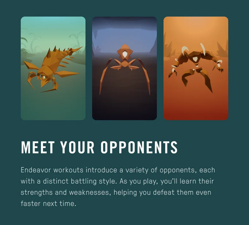 Meet Your Opponents